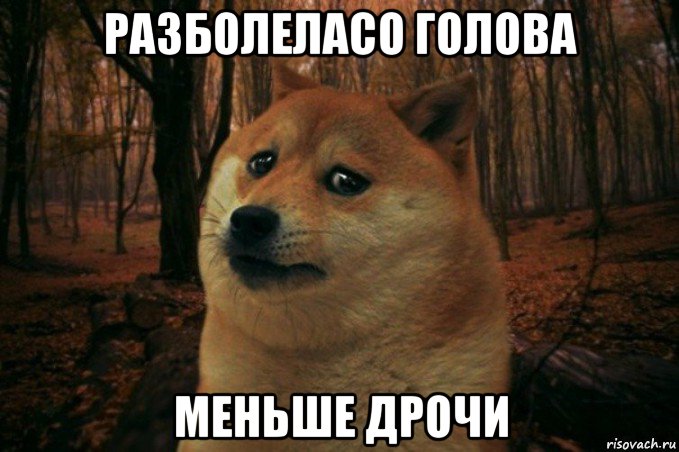 разболеласо голова меньше дрочи, Мем SAD DOGE