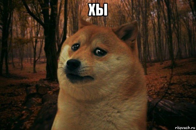 хы , Мем SAD DOGE