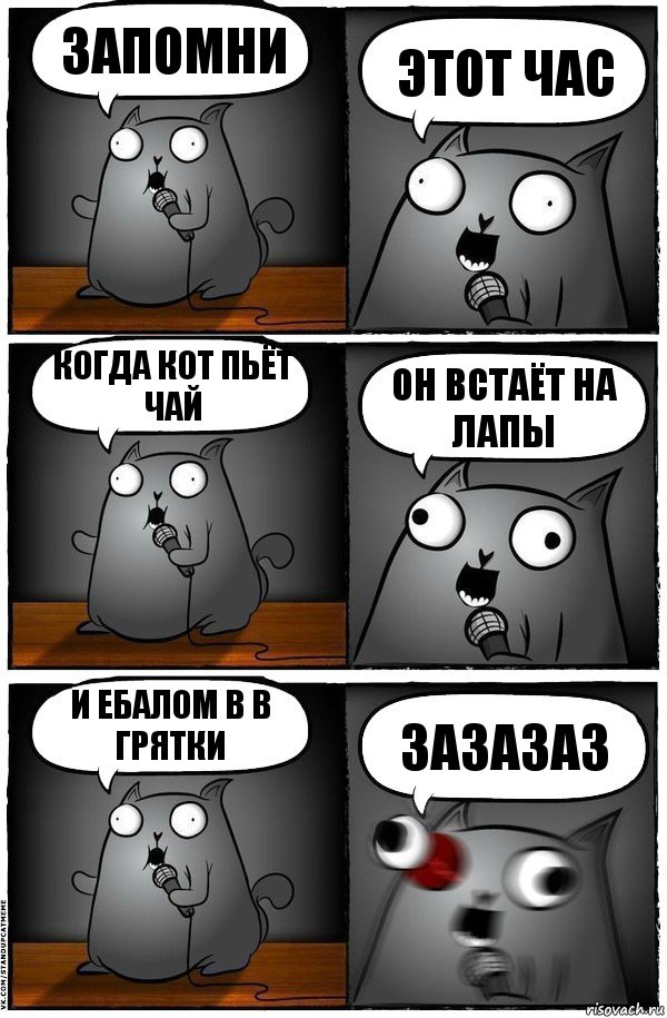 запомни этот час когда кот пьёт чай он встаёт на лапы и ебалом в в грятки зазазаз, Комикс  Стендап-кот