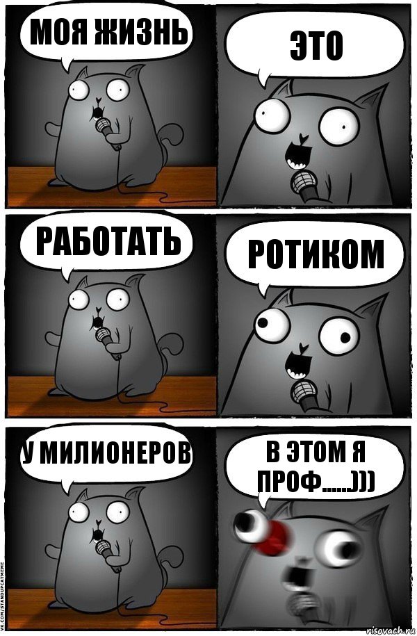 моя жизнь это работать ротиком у милионеров в этом я проф......))), Комикс  Стендап-кот