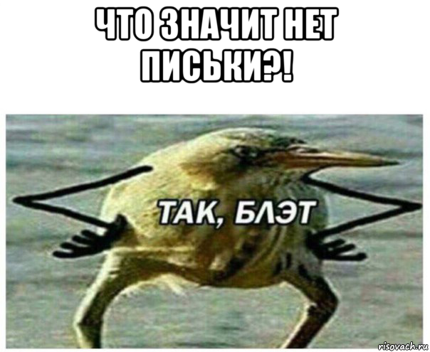 что значит нет письки?! 