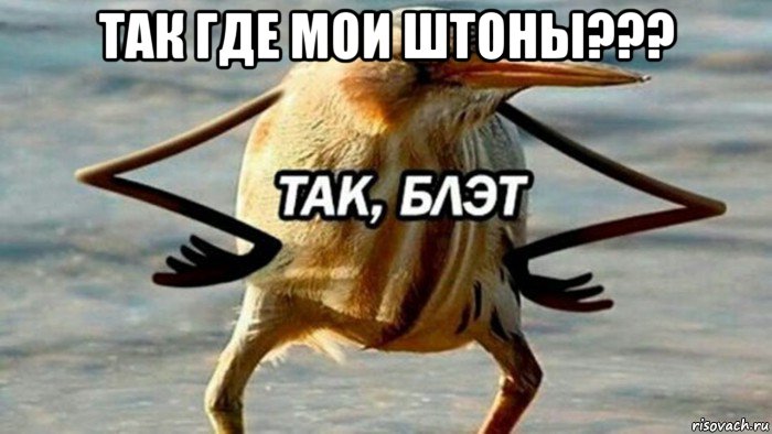 так где мои штоны??? , Мем  Так блэт