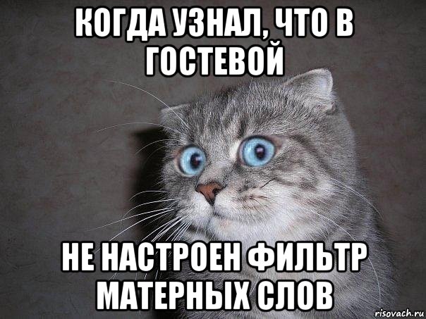 когда узнал, что в гостевой не настроен фильтр матерных слов, Мем  удивлённый кот