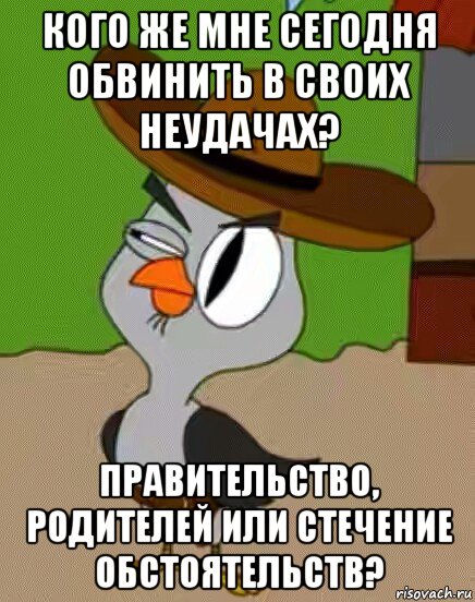 кого же мне сегодня обвинить в своих неудачах? правительство, родителей или стечение обстоятельств?, Мем    Упоротая сова