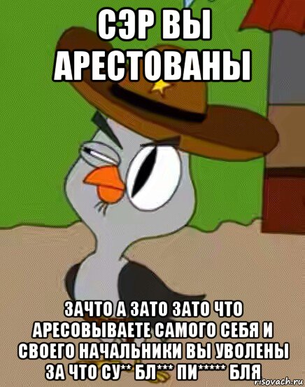 сэр вы арестованы зачто а зато зато что аресовываете самого себя и своего начальники вы уволены за что су** бл*** пи***** бля, Мем    Упоротая сова