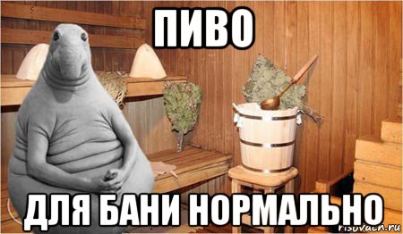 пиво для бани нормально