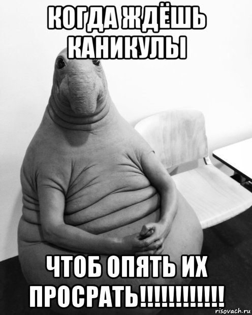 когда ждёшь каникулы чтоб опять их просрать!!!!!!!!!!!!, Мем  Ждун