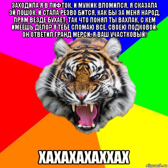 заходила я в лифток, и мужик вломился, я сказала эй лошок, и стала резво бится, как бы за меня народ, прям везде бухает, так что понял ты вахлак, с кем имеешь дело? я тебе сломаю все, своею подковой. он ответил гранд мерси, я ваш участковый! хахахахаххах, Мем  ДЕРЗКИЙ ТИГР