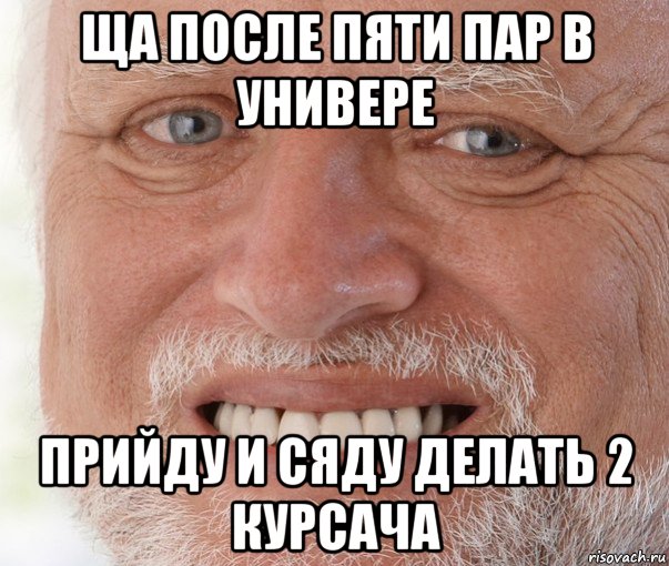 ща после пяти пар в универе прийду и сяду делать 2 курсача, Мем Дед Гарольд