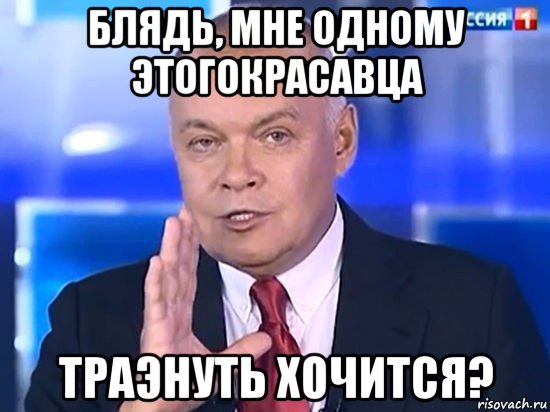 блядь, мне одному этогокрасавца траэнуть хочится?, Мем Киселёв 2014