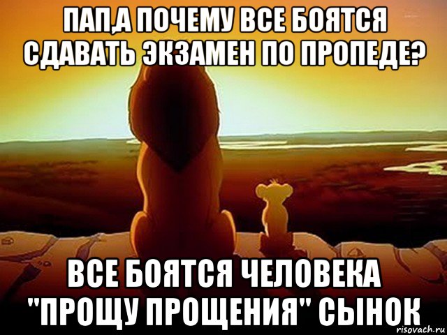 пап,а почему все боятся сдавать экзамен по пропеде? все боятся человека "прощу прощения" сынок, Мем  король лев