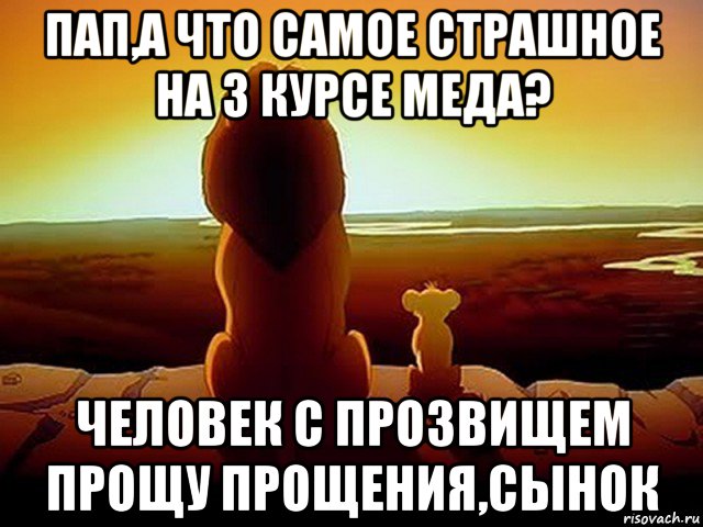 пап,а что самое страшное на 3 курсе меда? человек с прозвищем прощу прощения,сынок, Мем  король лев