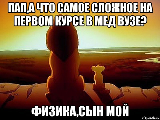 пап,а что самое сложное на первом курсе в мед вузе? физика,сын мой, Мем  король лев