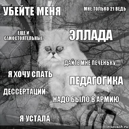 Убейте меня Педагогика Эллада Я устала Я хочу спать Мне только 21 ведь Надо было в армию Еще и самостоятельные Дессертации Дайте мне печеньку, Комикс  кот безысходность