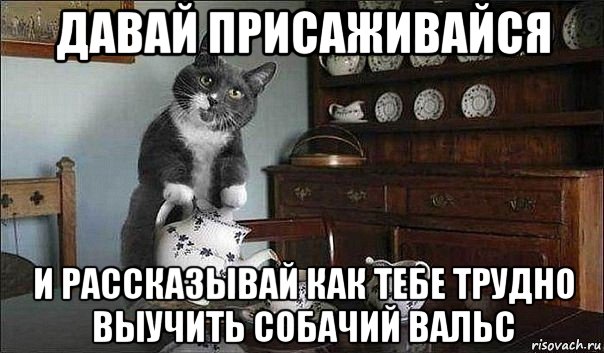 Присаживайтесь. Кот присаживайся Мем. Мем присядь кот. Присаживайся рассказывай Мем котик. Давай присаживайся.