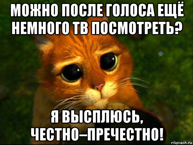 можно после голоса ещё немного тв посмотреть? я высплюсь, честно–пречестно!