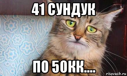 41 сундук по 50кк...., Мем  кот печаль