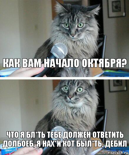 Как вам начало октября? Что я бл*ть тебе должен ответить долбоеб, я нах*й кот был*ть, дебил, Комикс  кот с микрофоном