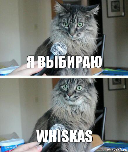 я выбираю whiskas, Комикс  кот с микрофоном