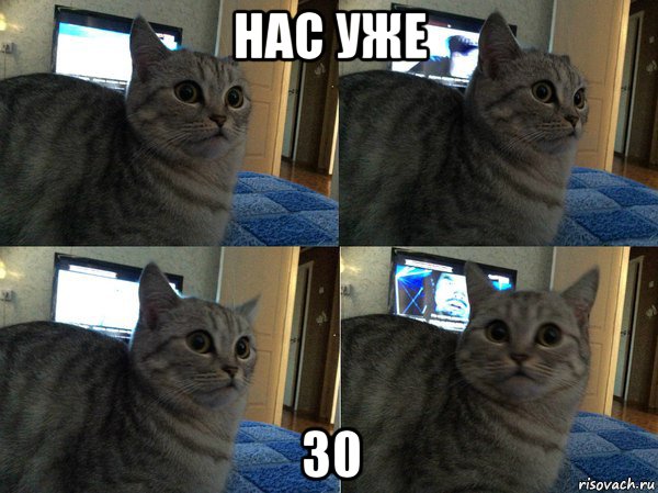 нас уже 30, Мем  Кот в шоке