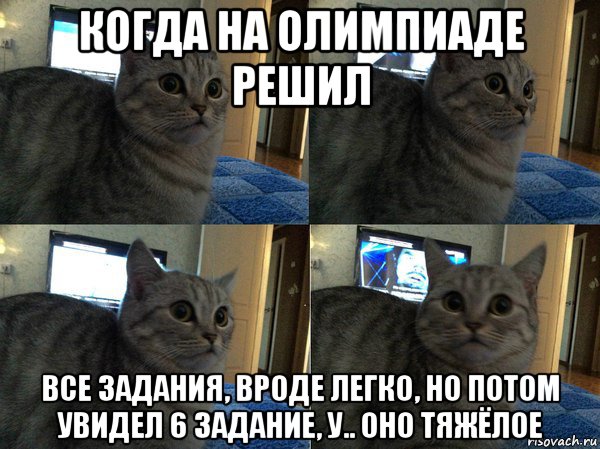 когда на олимпиаде решил все задания, вроде легко, но потом увидел 6 задание, у.. оно тяжёлое, Мем  Кот в шоке