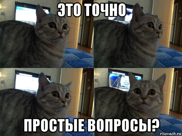 это точно простые вопросы?