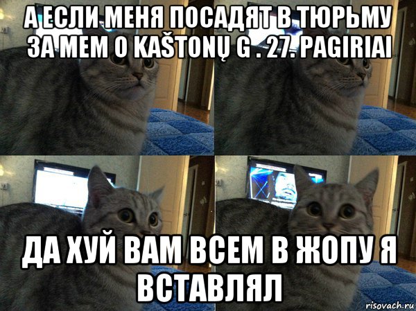 а если меня посадят в тюрьму за мем о kaštonų g . 27. pagiriai да хуй вам всем в жопу я вставлял