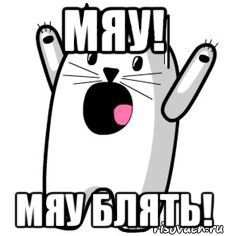 Мяу мяу мяу мем с котом грустный