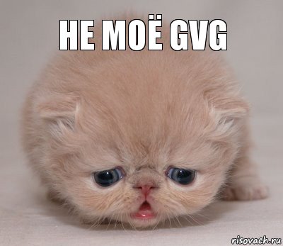 Не моё GVG, Комикс Котик