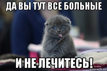 Все тут. Тут Мем котик. Вы тут Мем. Вы тут картинка. Ты тут картинки.