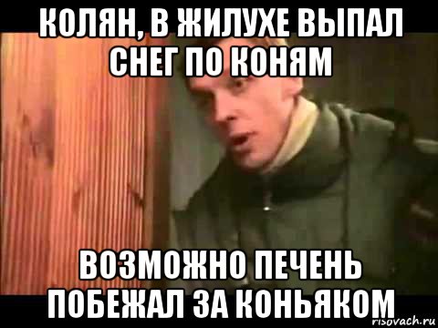 колян, в жилухе выпал снег по коням возможно печень побежал за коньяком, Мем Ларин по коням