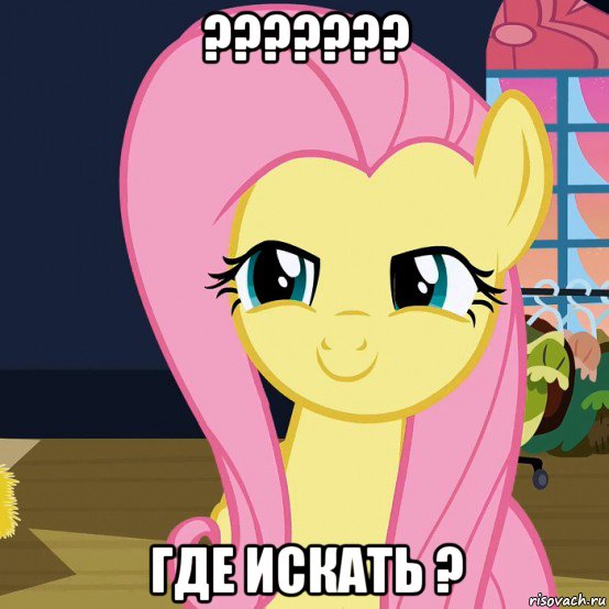 ??????? где искать ?, Мем  Mem Fluttershy