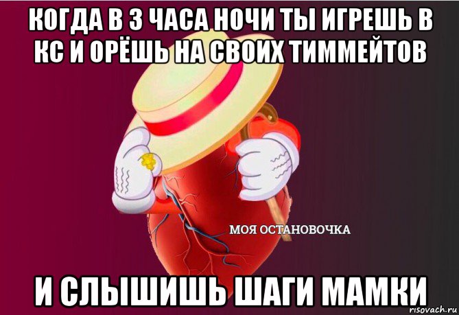 когда в 3 часа ночи ты игрешь в кс и орёшь на своих тиммейтов и слышишь шаги мамки, Мем   Моя остановочка