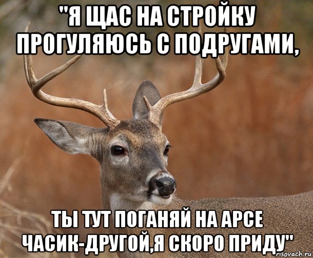 "я щас на стройку прогуляюсь с подругами, ты тут поганяй на арсе часик-другой,я скоро приду", Мем  Наивный Олень v2