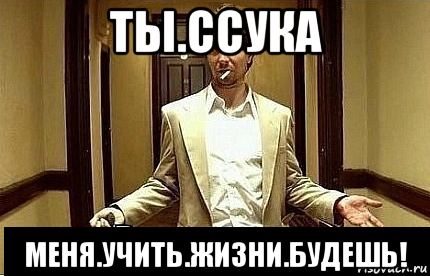 ты.ссука меня.учить.жизни.будешь!