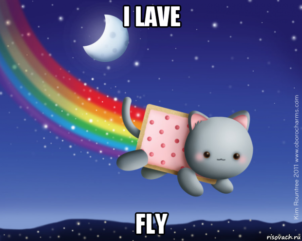 i lave fly