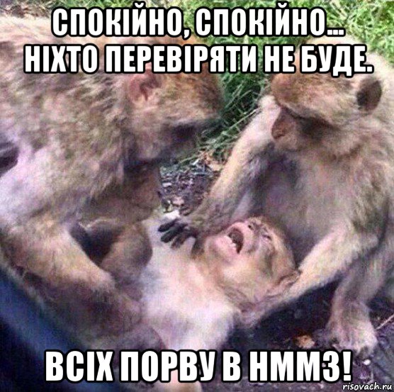 спокійно, спокійно... ніхто перевіряти не буде. всіх порву в hmm3!, Мем Обезьяны