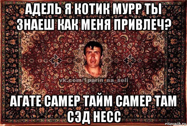 адель я котик мурр ты знаеш как меня привлеч? агате самер тайм самер там сэд несс