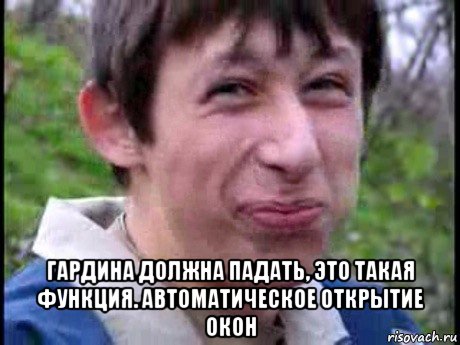  гардина должна падать, это такая функция. автоматическое открытие окон, Мем  Пиздун