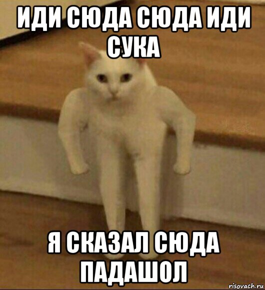 Пошли сука