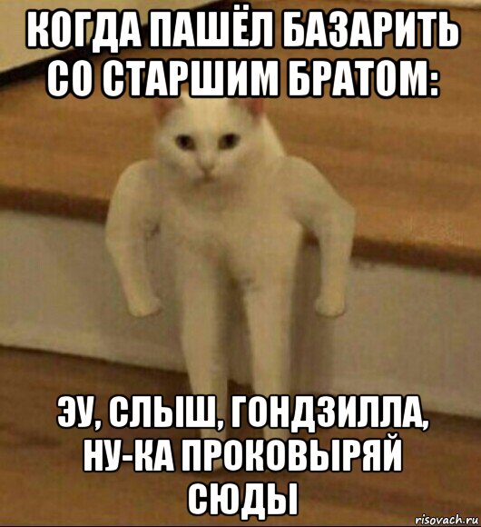 когда пашёл базарить со старшим братом: эу, слыш, гондзилла, ну-ка проковыряй сюды, Мем  Полукот