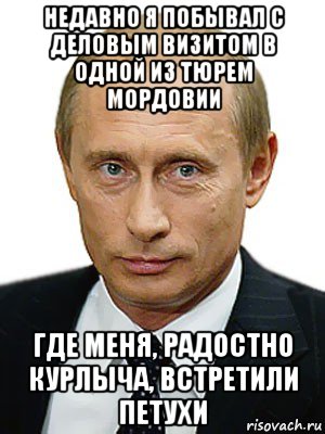 недавно я побывал с деловым визитом в одной из тюрем мордовии где меня, радостно курлыча, встретили петухи