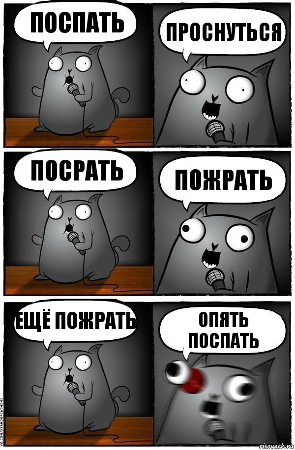 Поспать Проснуться Посрать Пожрать Ещё пожрать Опять поспать, Комикс  Стендап-кот