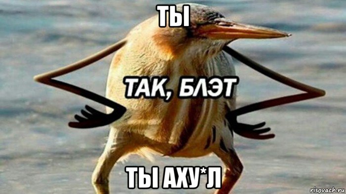 ты ты аху*л, Мем  Так блэт