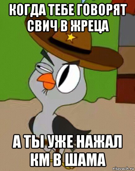 когда тебе говорят свич в жреца а ты уже нажал км в шама, Мем    Упоротая сова