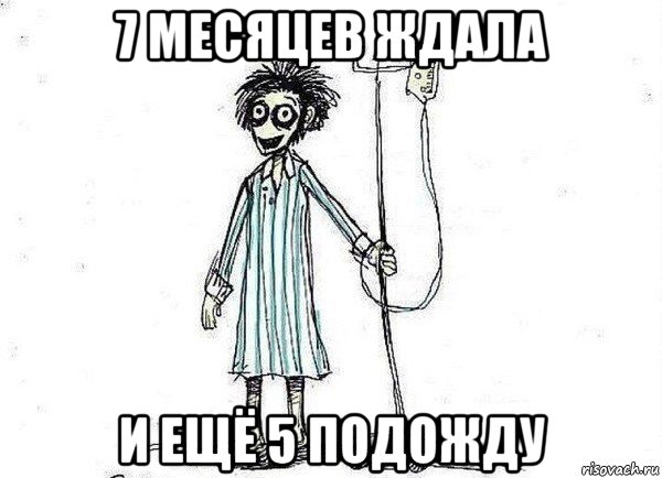 7 месяцев ждала и ещё 5 подожду, Мем  зато я сдал