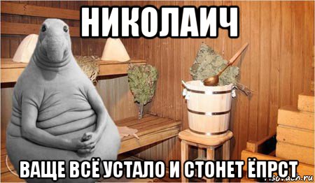 николаич ваще всё устало и стонет ёпрст