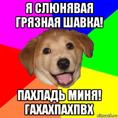 я слюнявая грязная шавка! пахладь миня! гахахпахпвх, Мем Advice Dog