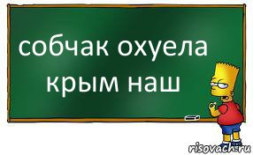 собчак охуела крым наш, Комикс Барт пишет на доске