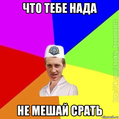 что тебе нада не мешай срать